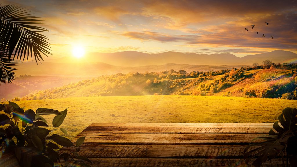 Landscape horizon, warm and inviting